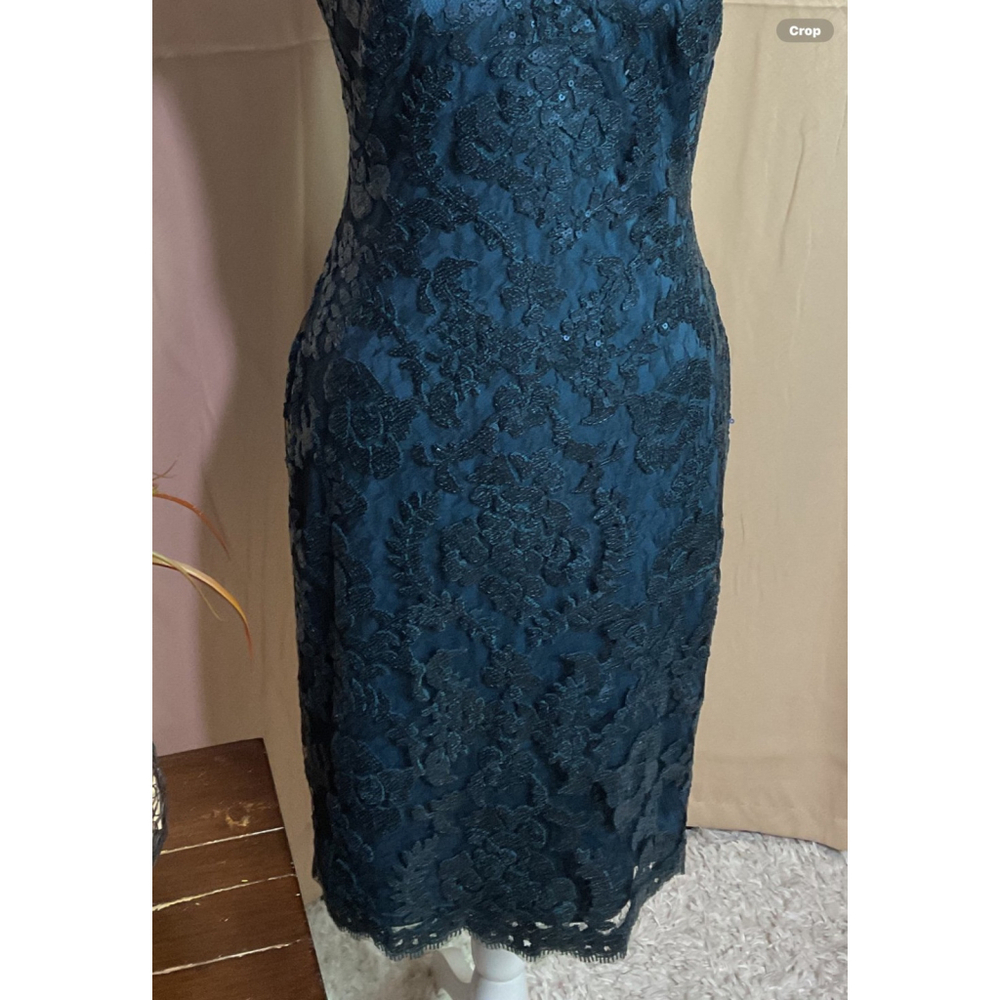Tadashi Shoji Lace V Neck Cap Sleeve Dress Size 4 - Picture 5 of 11